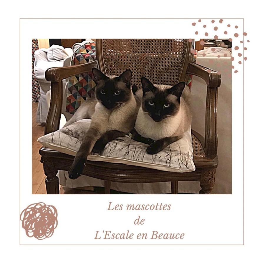 L Escale En Beauce Bed & Breakfast Maisons  Exterior photo